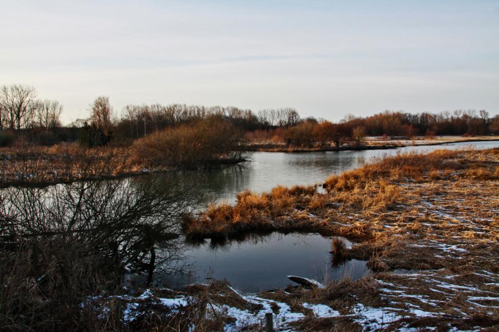 Lippeauen in Hamm.JPG - Lippeauen in Hamm